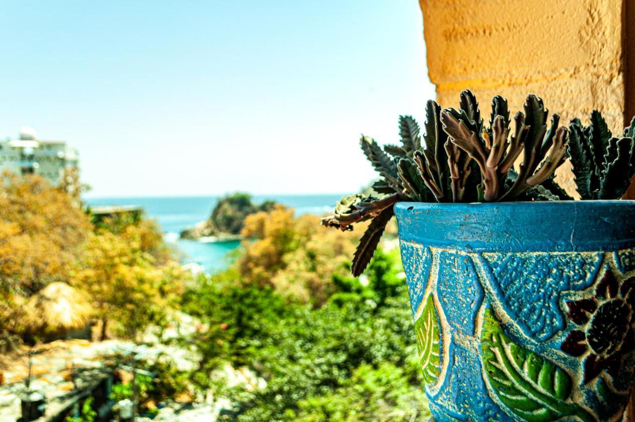 Hotel Capy Puerto Ángel Dış mekan fotoğraf