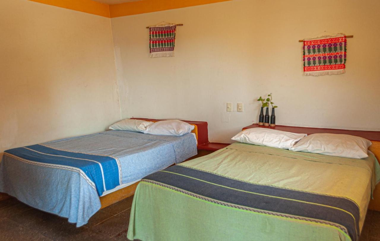Hotel Capy Puerto Ángel Dış mekan fotoğraf