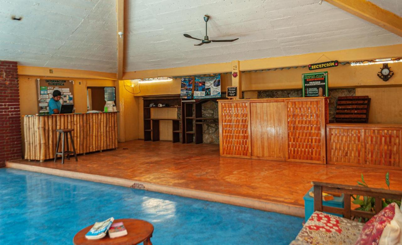 Hotel Capy Puerto Ángel Dış mekan fotoğraf